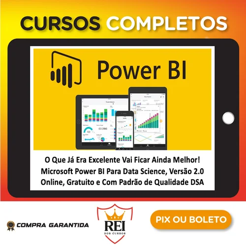 Curso Completo de Power Bi - Data Science Academy