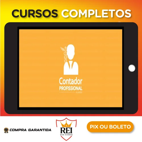 Contador Profissional: Vivendo de Contabilidade - Angélica Flor