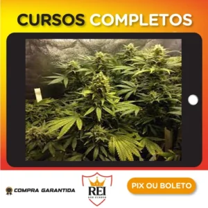Cultivo Indoor de Plantas Medicinais - Jean Silva