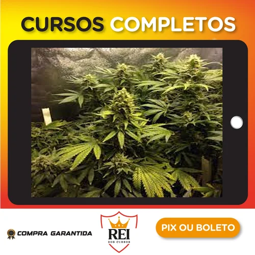 Cultivo Indoor de Plantas Medicinais - Jean Silva